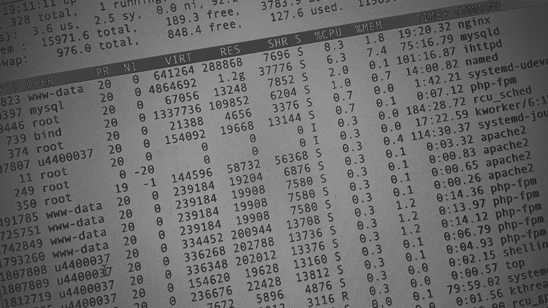 Настройка сервера в Шумихе