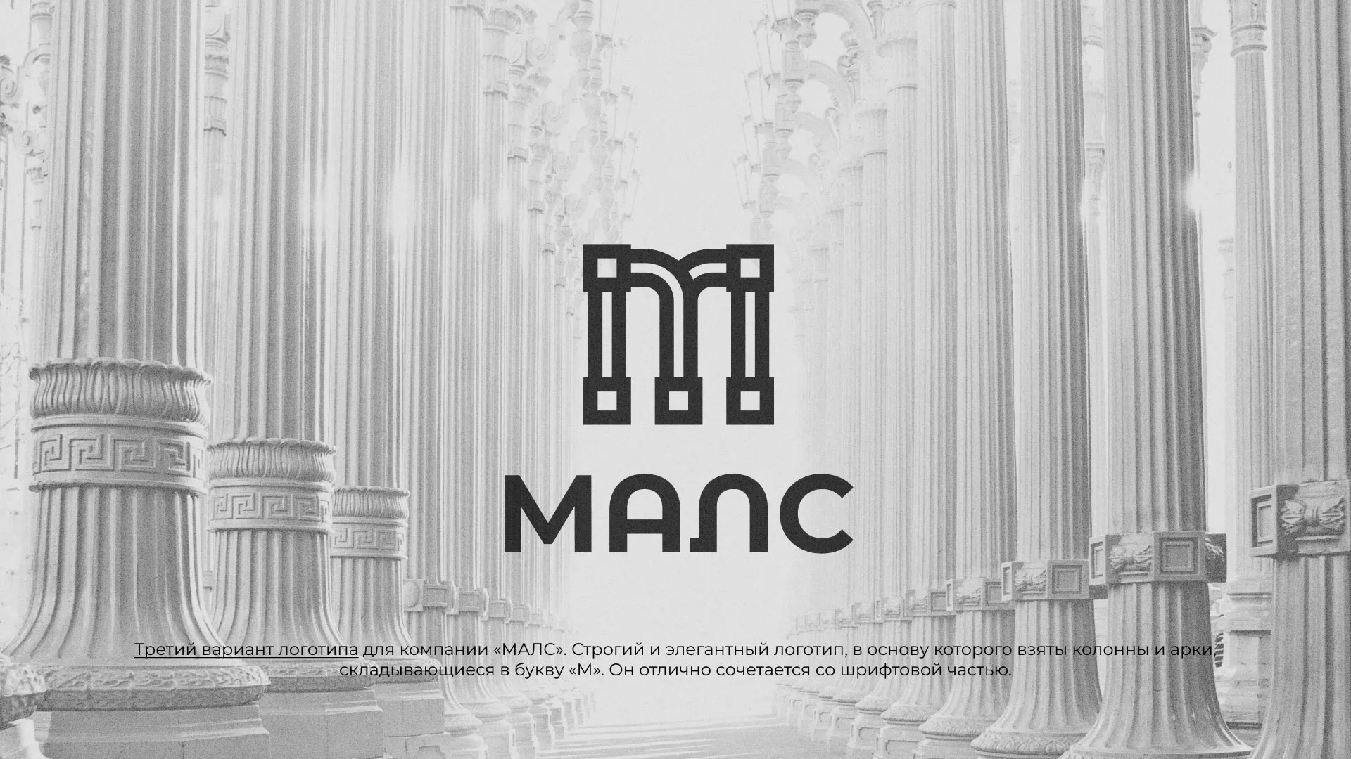 Разработка логотипа компании «МАЛС» в Шумихе