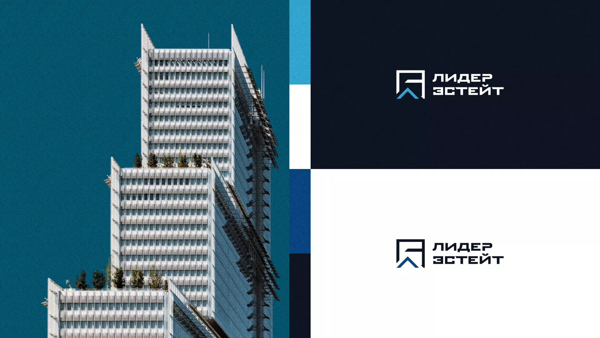 Разработка логотипа агентства недвижимости «Лидер Эстейт» в Шумихе