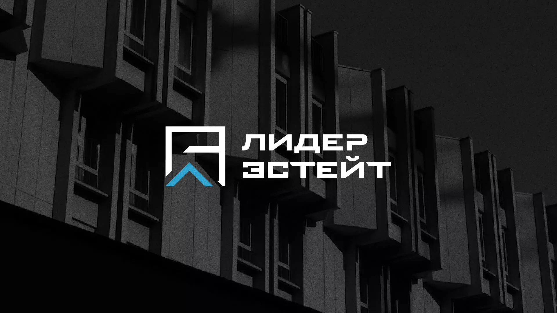 Разработка логотипа агентства недвижимости «Лидер Эстейт» в Шумихе